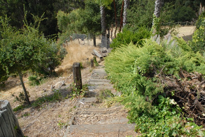 Hillside before terracing