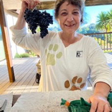 Frieda Harvest 2023.jpg