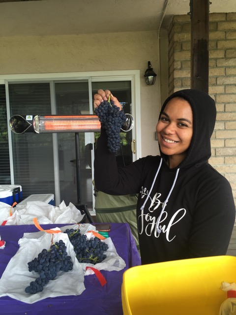 Harvest Assistant 2022