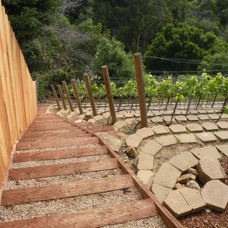 April 14 2019 Vineyard Stairsjpg