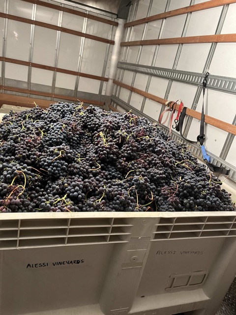 2024 Harvest