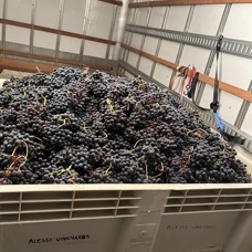 2024 bin